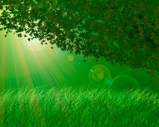 Similar image 798177