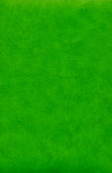 Similar image 798190