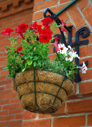 Similar image 798216