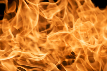 Similar image 798234