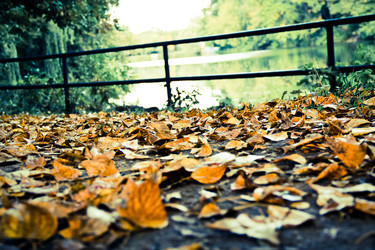 Similar image 798273