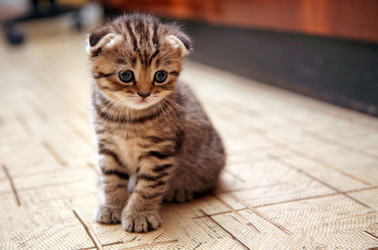 Similar image 798398