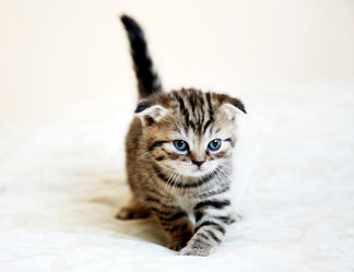 Similar image 798404