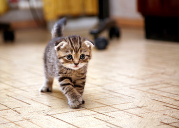 Similar image 798405