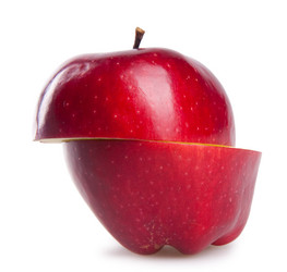 Similar image 798410