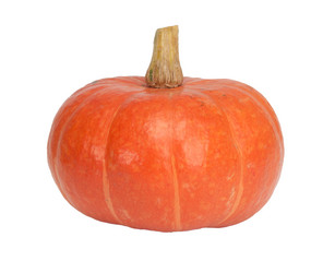 Similar image 798411