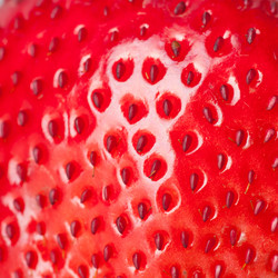 Similar image 798432