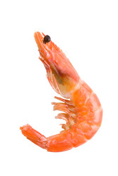 Similar image 798445