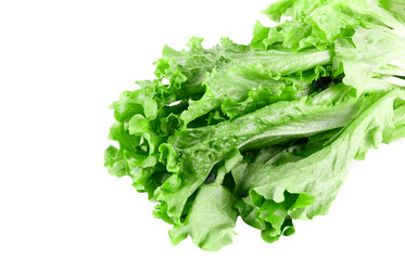 Similar image 798468