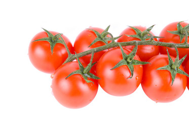 Similar image 798477