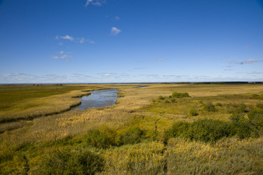 Similar image 798553