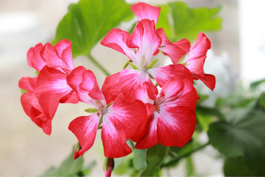 Similar image 798665