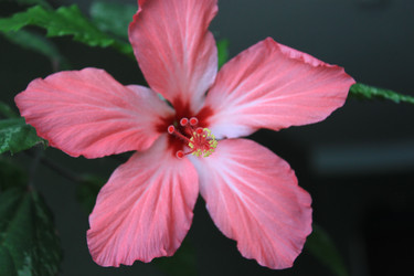 Similar image 798667