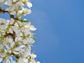 Similar image 798669