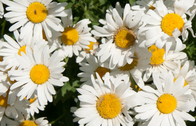 Similar image 798738