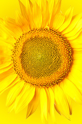 Similar image 798746