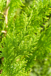 Similar image 798747