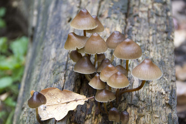 Similar image 798767