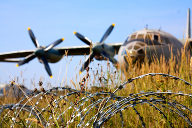 Similar image 798842