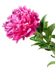 Similar image 798844