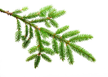 Similar image 798849