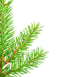 Similar image 798852