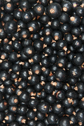 Similar image 798865