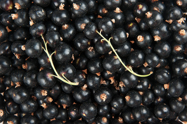 Similar image 798868