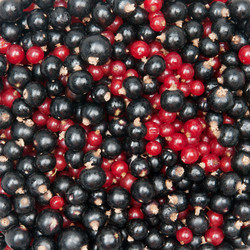 Similar image 798871