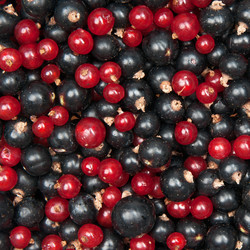 Similar image 798875