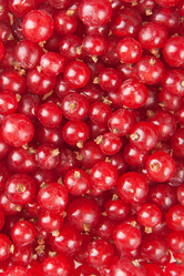 Similar image 798877