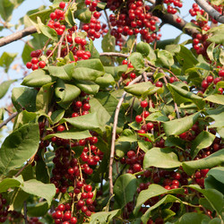 Similar image 798924