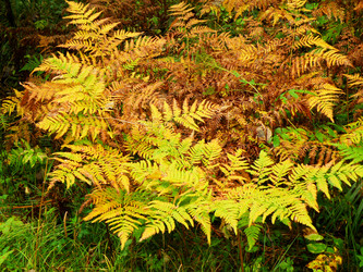 Similar image 798978