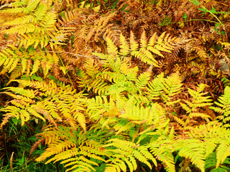 Similar image 798979