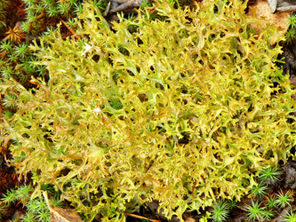 Similar image 798981