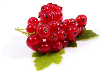 Similar image 799031