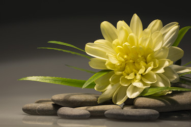 Similar image 799036