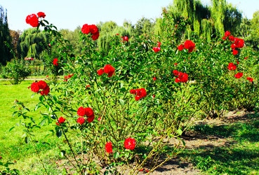 Similar image 799087