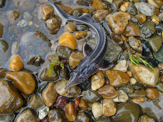 Similar image 799121