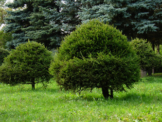 Similar image 799208