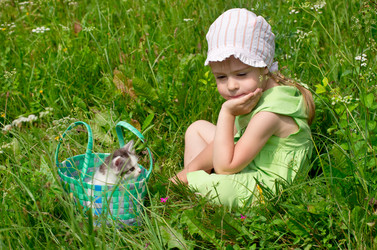 Similar image 799215