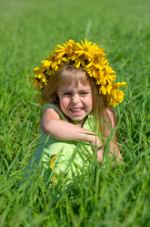 Similar image 799217