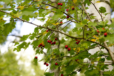 Similar image 799224