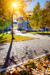 Similar image 799225