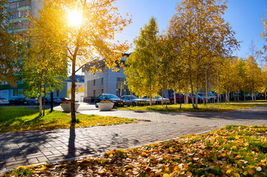 Similar image 799226