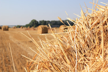 Similar image 799227