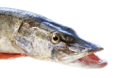 Similar image 799232