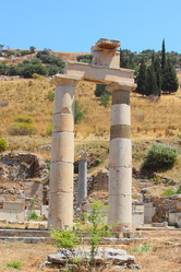 Similar image 799290