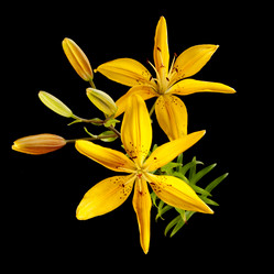 Similar image 799292