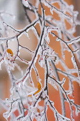 Similar image 799298